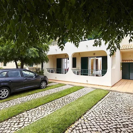 Casa Da árvore *